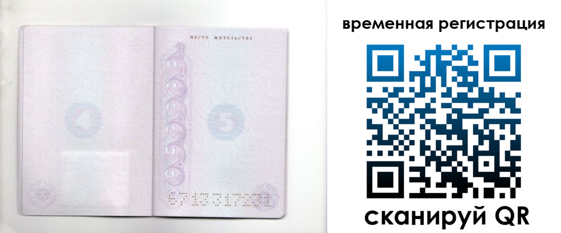 прописка штамп в Калининграде